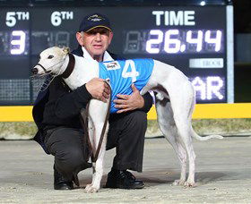Bulli Greyhound Racing Club - Tweed Heads Accommodation 2