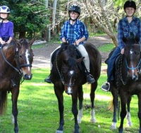 Kings Creek Saddle Club - Tweed Heads Accommodation