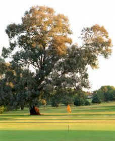 Bumbaldry NSW Tweed Heads Accommodation