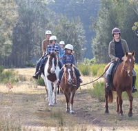 Horse Riding at Oaks Ranch and Country Club - Tweed Heads Accommodation