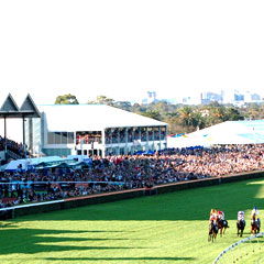 Morphettville SA Tweed Heads Accommodation