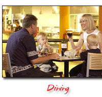 Steelers Club - Tweed Heads Accommodation
