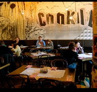 Cookie - Tweed Heads Accommodation