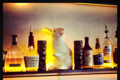 Hairy Canary - Tweed Heads Accommodation 0