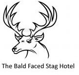 Bald Faced Stag - Tweed Heads Accommodation