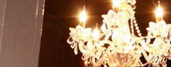 Agape Organic Restaurant & Bar - Tweed Heads Accommodation 1