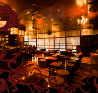 Hippo Lounge Bar - Tweed Heads Accommodation