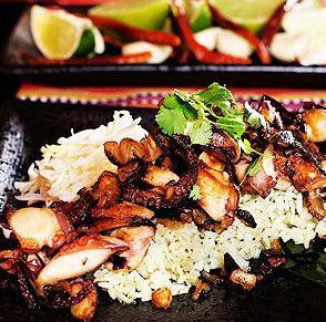 Agave Restaurante Mexicano - Tweed Heads Accommodation 4