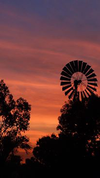 Emerald Springs Roadhouse - Tweed Heads Accommodation 5