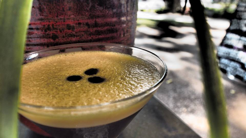 Viva La Vida Wine & Tapas Bar - Tweed Heads Accommodation 2