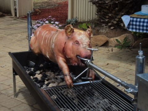 Grass Valley Tavern - Tweed Heads Accommodation 1