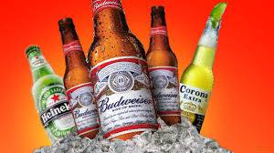 Figtree Cellars - Tweed Heads Accommodation 4