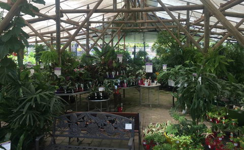 Limberlost Nursery & Garden Centre - Tweed Heads Accommodation 1