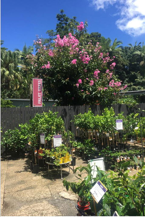 Limberlost Nursery & Garden Centre - Tweed Heads Accommodation 3