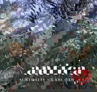 Antica Australis - Winter Fire Festival - Tweed Heads Accommodation