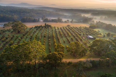 A Taste Of Truffles - Tweed Heads Accommodation 1