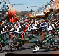 Australian Celtic Festival - Tweed Heads Accommodation