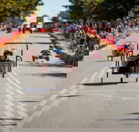 Australian Billy Cart Championships - Tweed Heads Accommodation