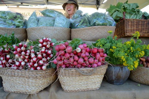 Berry Farmers' Market - Tweed Heads Accommodation 0