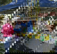 Corowa Rotary Federation Festival Market - Tweed Heads Accommodation