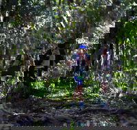 Elephant Trail Race - Tweed Heads Accommodation