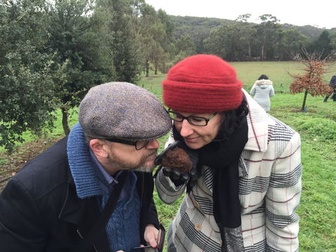 Feast And Forage - Craig's Royal Hotel - Tweed Heads Accommodation 1