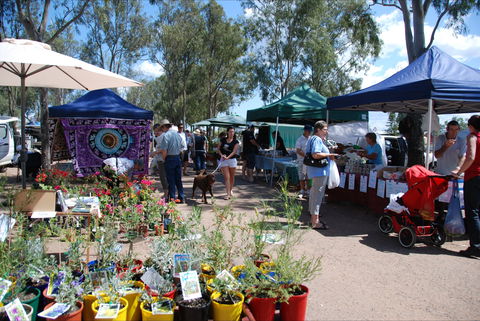 Fernvale Country Markets - Tweed Heads Accommodation 0