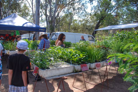 Fernvale Country Markets - Tweed Heads Accommodation 1