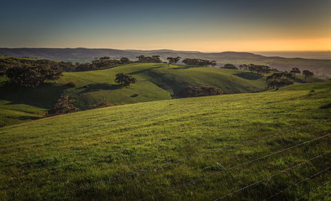 Festival Of Nature - Tweed Heads Accommodation 1