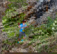 Goldrush Trail Runs - Tweed Heads Accommodation