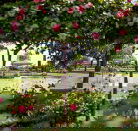 Griffith Spring Fest - Tweed Heads Accommodation