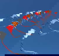 Harden Kite Festival - Tweed Heads Accommodation