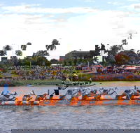 Jacaranda Dragon Boat Races - Tweed Heads Accommodation