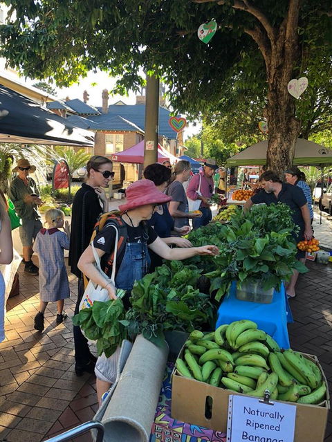 Lismore Produce Markets - Tweed Heads Accommodation 1