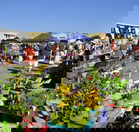 Maclean Community Monthly Markets - Tweed Heads Accommodation