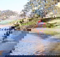 Mountain Man Tri Challenge - Tweed Heads Accommodation
