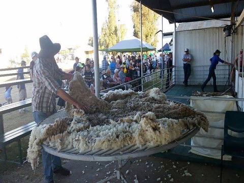 Narrabri Show - Tweed Heads Accommodation 0