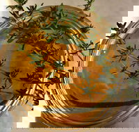 Online live streaming class DIY Skincare Products - Tweed Heads Accommodation