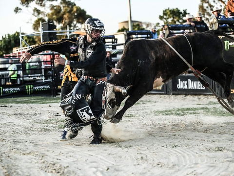 PBR Hawkesbury Stampede - Tweed Heads Accommodation 2