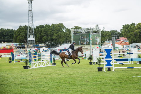 Perth Royal Show - Tweed Heads Accommodation 1