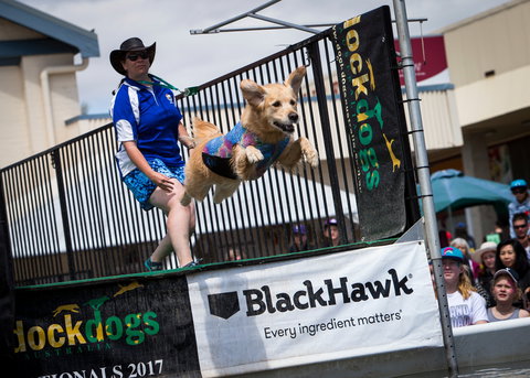 Perth Royal Show - Tweed Heads Accommodation 2