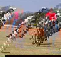 Pride of the West Races 2020 - Tweed Heads Accommodation