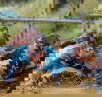 Suck It Up Buttercup Vikings Obstacle Course - Tweed Heads Accommodation