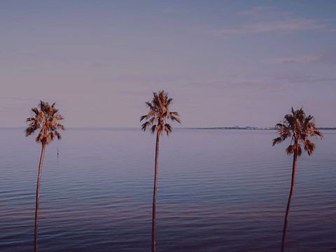 Sunset Streaming Live DJ Streams - Tweed Heads Accommodation 0