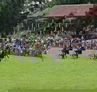 Tumut Derby Day - Tweed Heads Accommodation