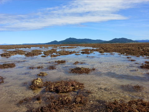 Walk To The Reef - Tweed Heads Accommodation 0