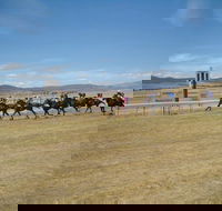 Adaminaby Cup Race Day - Tweed Heads Accommodation