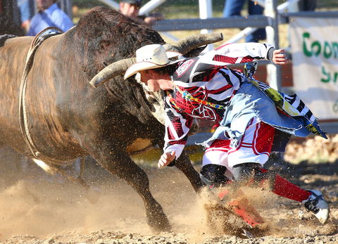 AgriWest Cooma Rodeo - Tweed Heads Accommodation 2