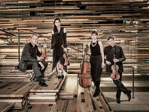 Australian String Quartet Plays Late Beethoven - Tweed Heads Accommodation 2