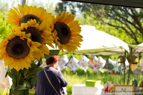 Blackville Arts And Market Day - Tweed Heads Accommodation 0